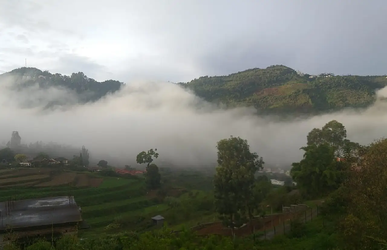 resort in kodaikanal